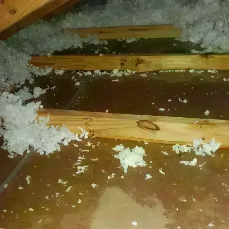 Attic Water Damage in Lexington, OH