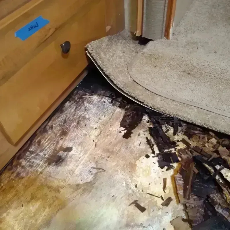 Best Wood Floor Water Damage Service in Lexington, OH